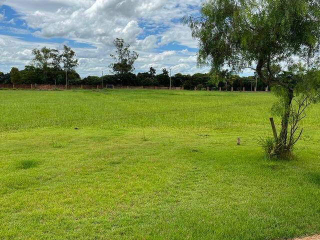 #729 - Área para Venda em Iguaraçu - PR - 3